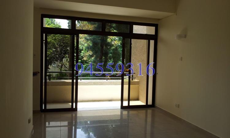 The Balmoral (D10), Condominium #155475742